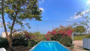 Una piscina rectangular con agua azul cristalina, rodeada de vegetación exuberante y plantas en flor.
