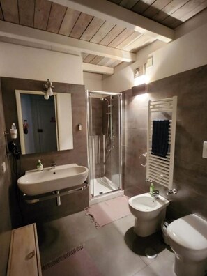 Shower, hair dryer, bidet, towels