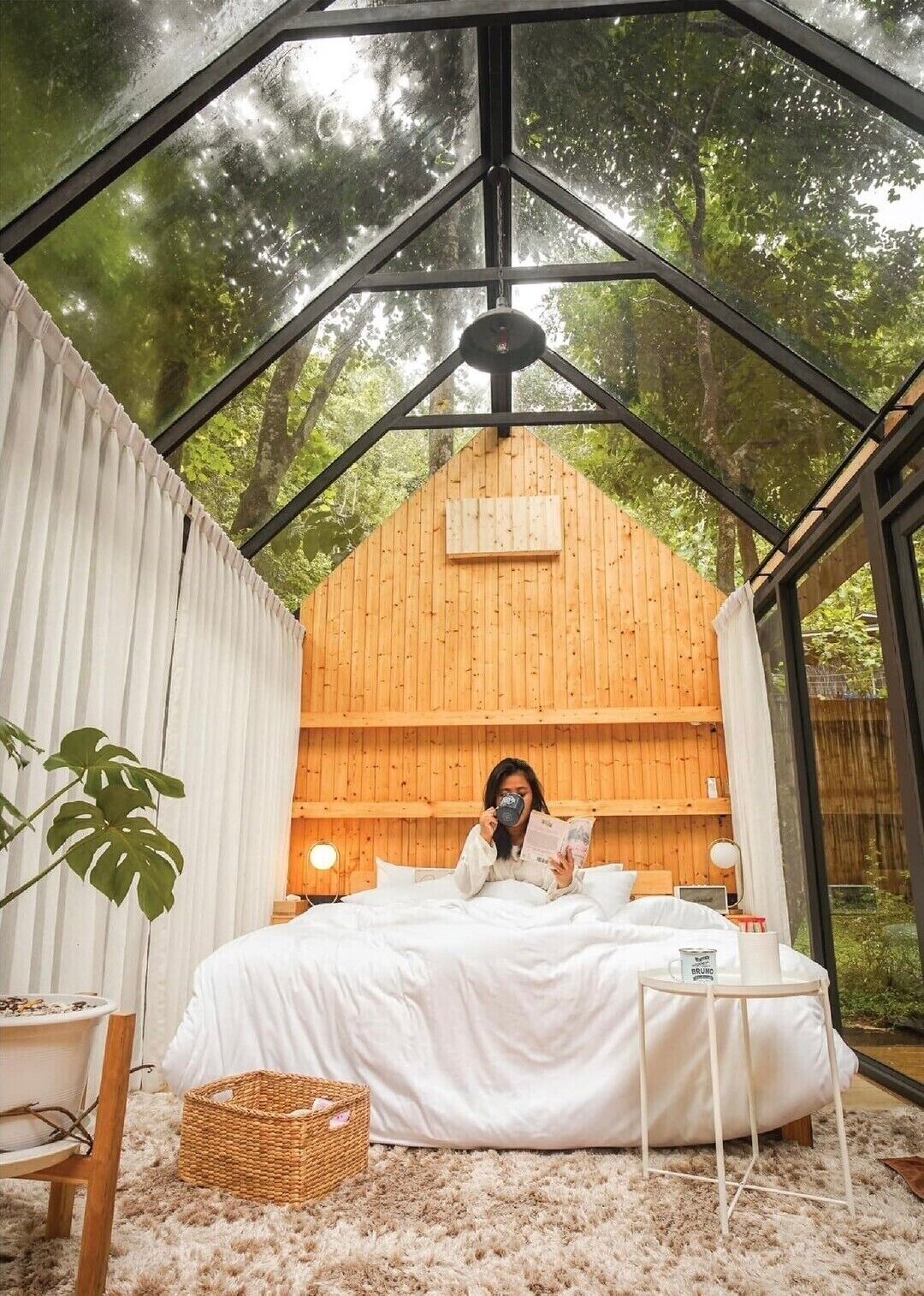 Glass Cabin | Egyptian cotton sheets, premium bedding, pillowtop beds, free minibar