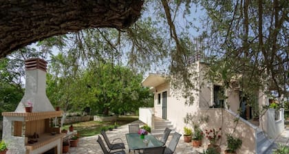 Nikis Country House - Lefkada BnB Private Parking