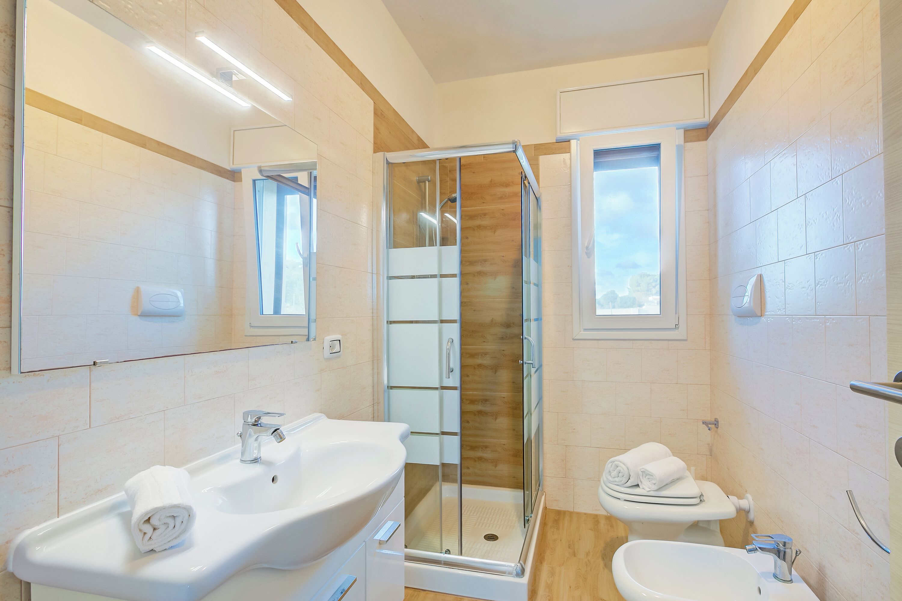 Shower, hair dryer, bidet, towels