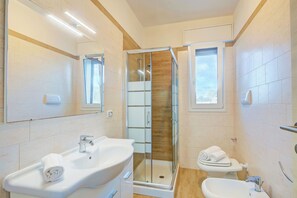 Shower, hair dryer, bidet, towels