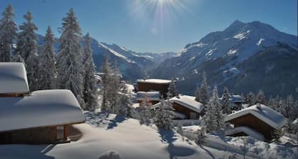 Loue Chalet au Pied des Pistes, Retour Skis aux Pieds, Plein Sud, Magnifique vue