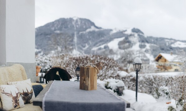 Property grounds - Apartment Aschbach - cosy for couples or families with 1-2 children (Kitzbuhel)