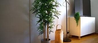 Moon apartment, near the center, Free parking available!