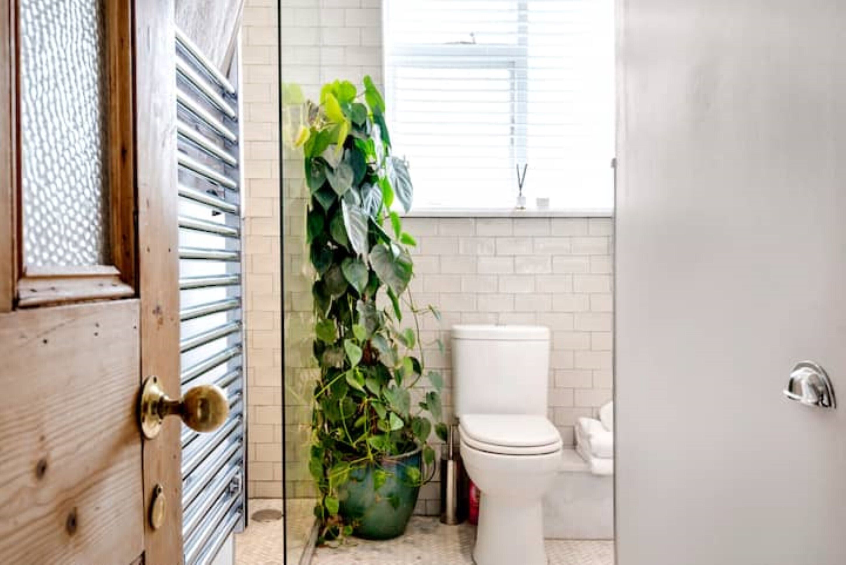 A bathroom with a toilet, a green potted plant, and a window with blinds.
