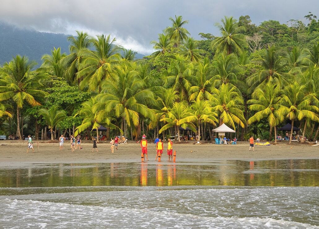 A beach with palm trees and a hut in the background.