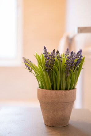 Interior detail - The Dell 11 - Prom Views! (Lahinch)