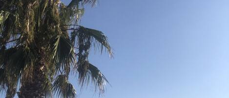 Apartment | 3 bedrooms