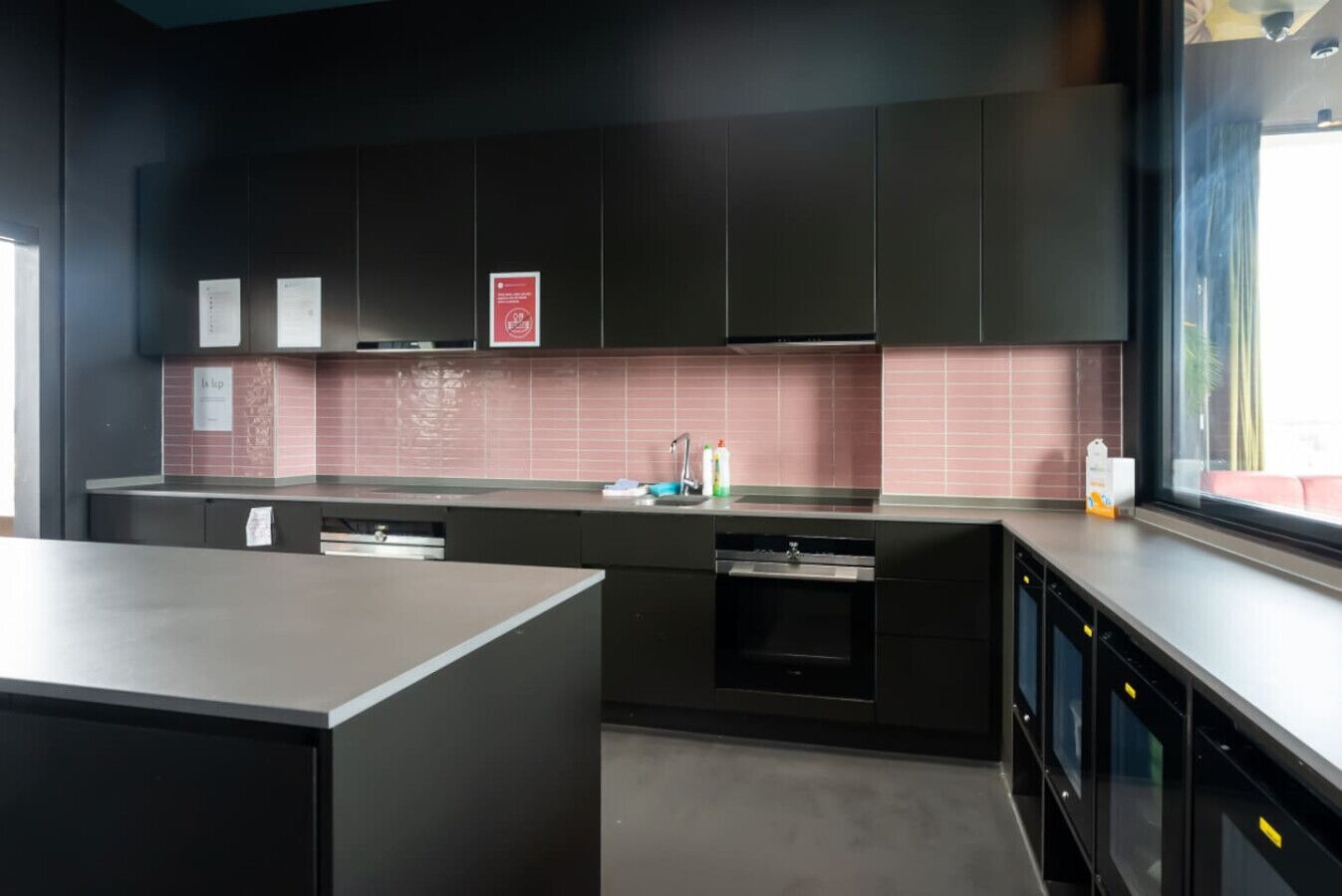 Fridge, microwave, dishwasher, coffee/tea maker