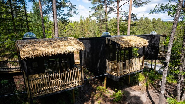 Treehouses with thatched roofs and wooden railings, connected by a rope bridge, set in a forest. - Juliusskogen  (Kristiansand)