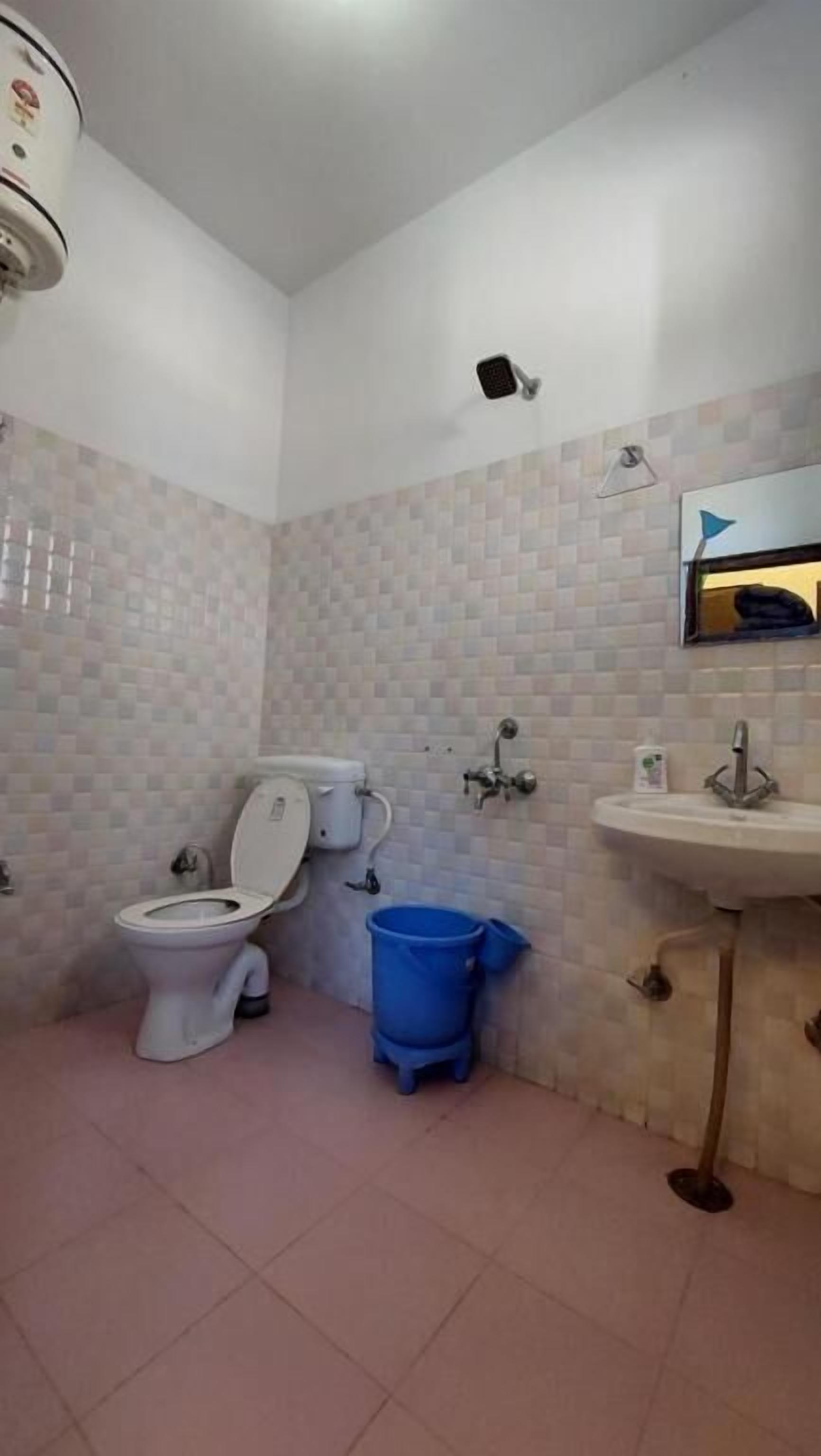 A bathroom with a toilet, a sink, a mirror, and a showerhead.