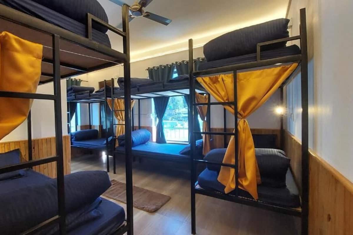 Bed in 8- Bed Mixed Dormitory Room