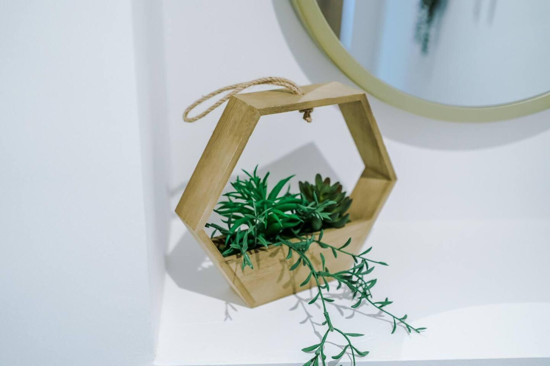 A hexagonal wooden planter with a rope handle, containing green plants, mounted on a white wall.