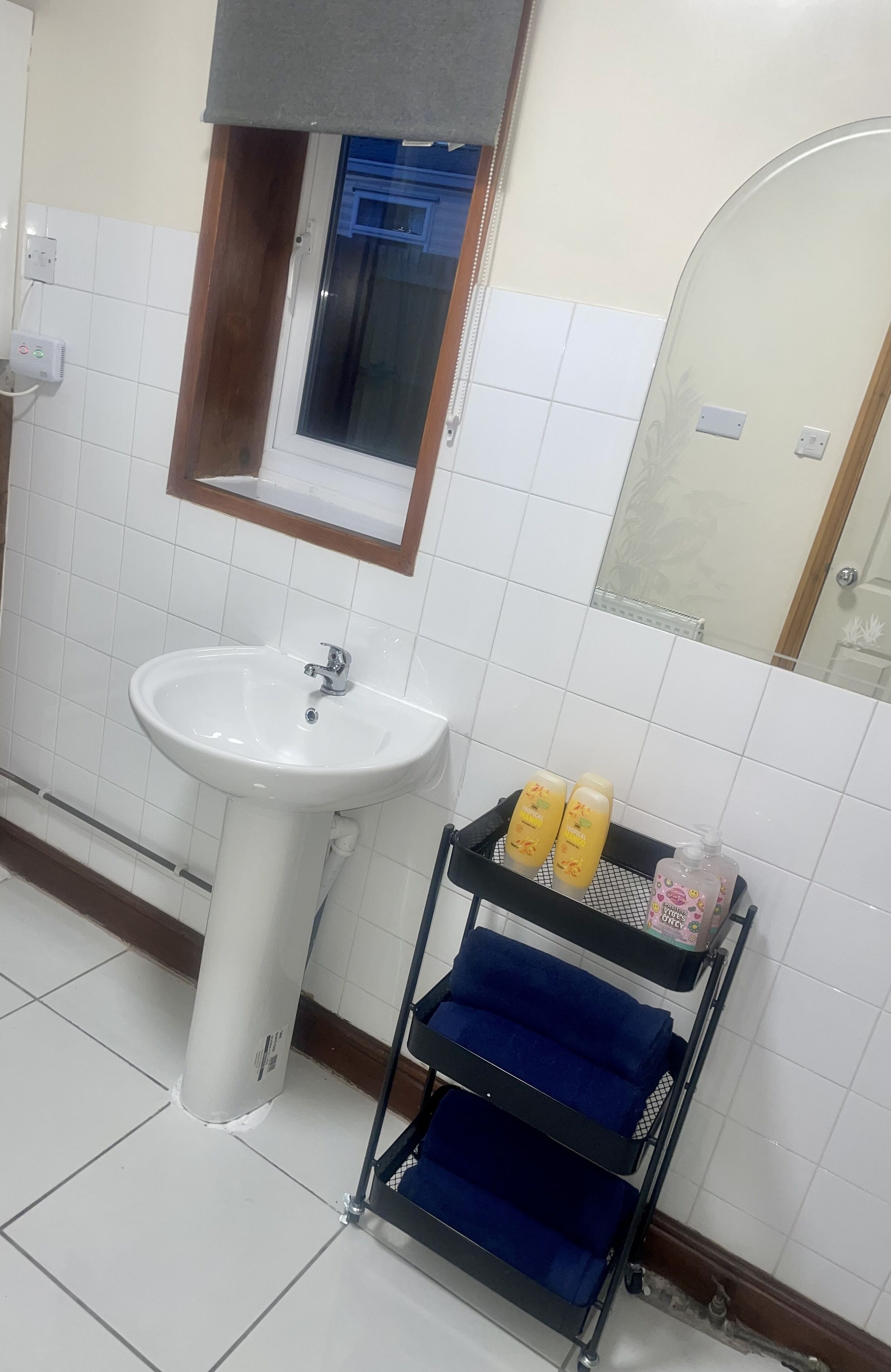 A bathroom with a white sink, a mirror, and a shelf with toiletries.
