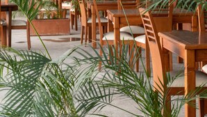 Un vaste espace intérieur doté de nombreuses tables et chaises en bois, entouré de grandes plantes vertes.