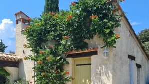 Una casa de piedra rústica con una puerta amarilla, un pequeño porche con una silla y una planta en maceta.