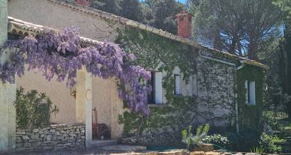 Havre de paix au Soleil, Pétanque, Tourisme ,Rando