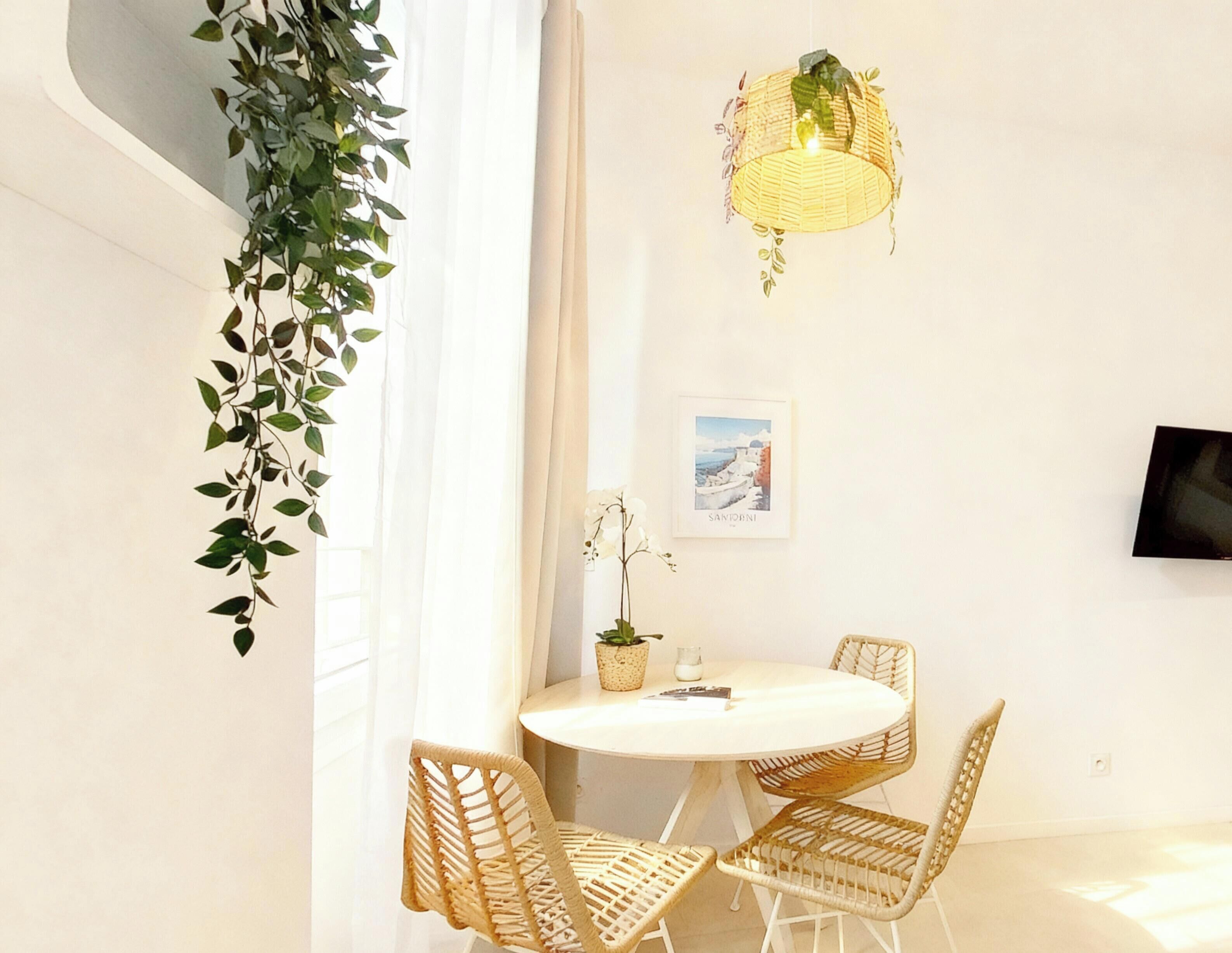 A round table with wicker chairs, a hanging plant, a wall-mounted light fixture, and a framed picture.