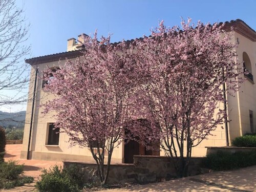 Farmhouse 10th Century nearby Barcelona for 12 people with pool and garden