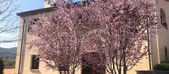 Farmhouse 10th Century nearby Barcelona for 12 people with pool and garden