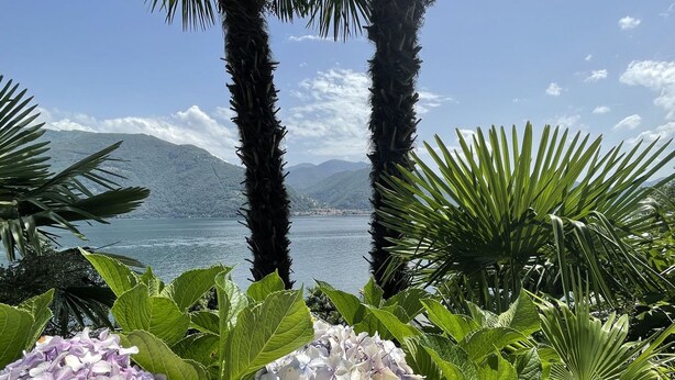 A view of a lake with mountains in the background, surrounded by lush greenery and hydrangea flowers.
