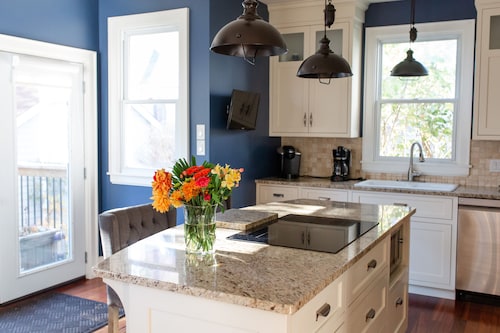 Spacious Downtown 5 bedroom historic house! Close to Everything Downtown!