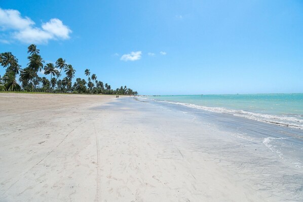 Playa