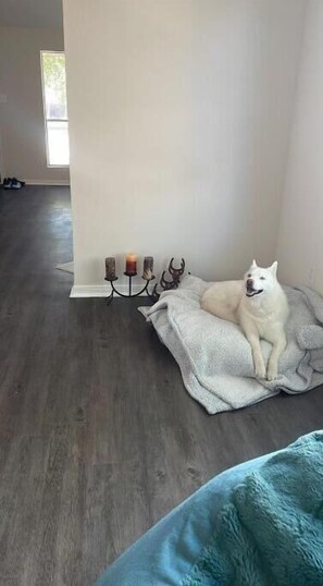 Interior - 3BR/2B Home Away From Home · 2.5mi to IAH (Humble)