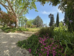 Property grounds - Havre de Paix au Sein D'un T3 D'une Bastide Aixoise (Aix-en-Provence)