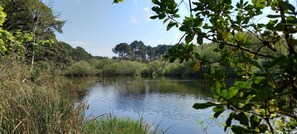 A natural landscape with a body of water, surrounded by trees and vegetation. - Beautiful 3 rooms with terrace near the ocean (Moliets-et-Maa)