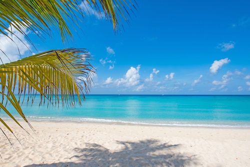 7 Mile Beach Condo with Pool View and Rooftop