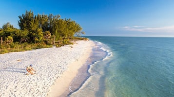 Sun-loungers, beach towels