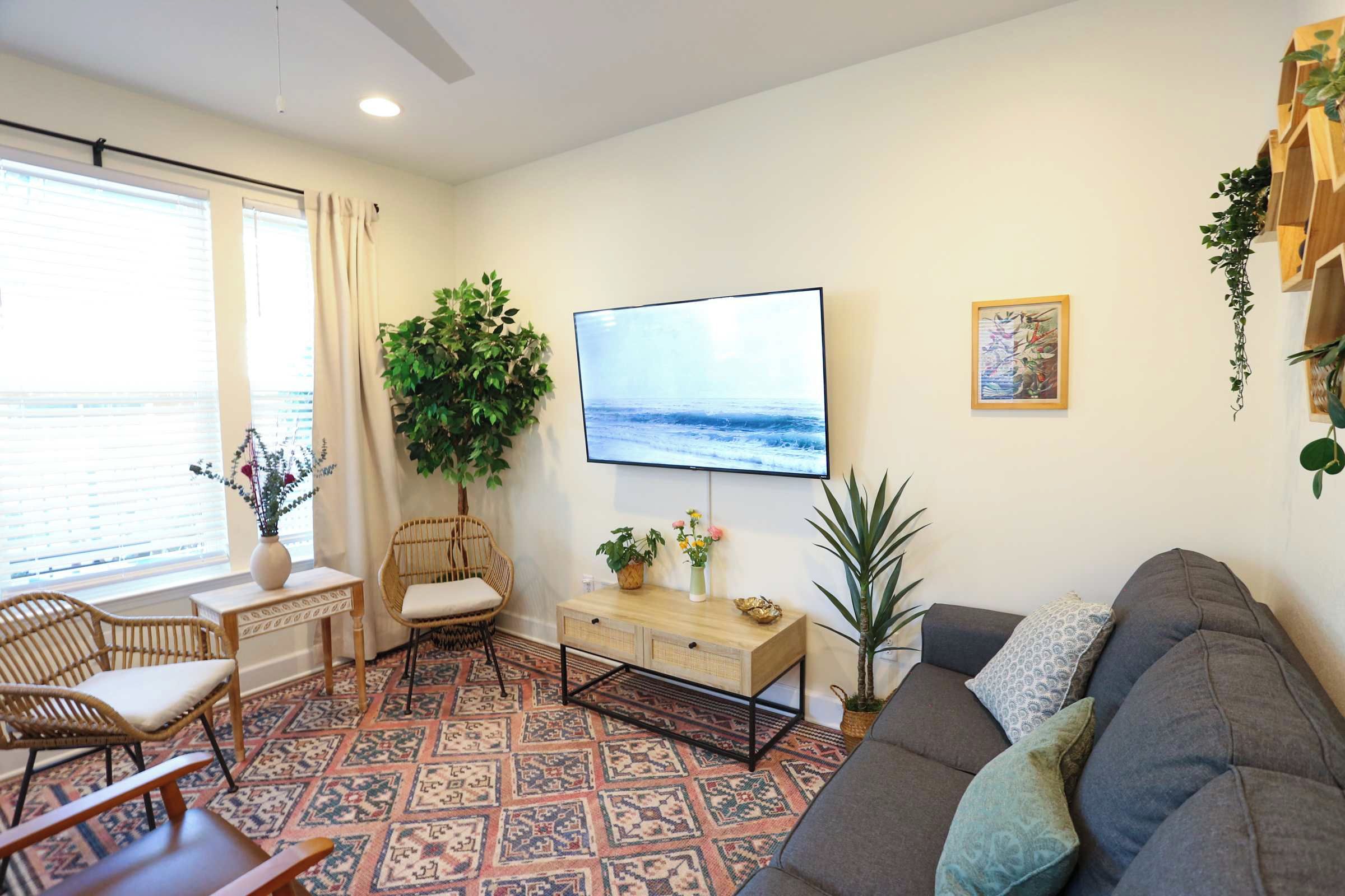 A living room with a sofa, a TV, a wooden side table, a patterned rug, and a large plant.