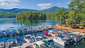 A marina with numerous boats docked, surrounded by a forested landscape and mountains in the background.