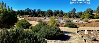 Bosques del Condor Cabañas 