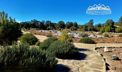 Bosques del Condor Cabañas 