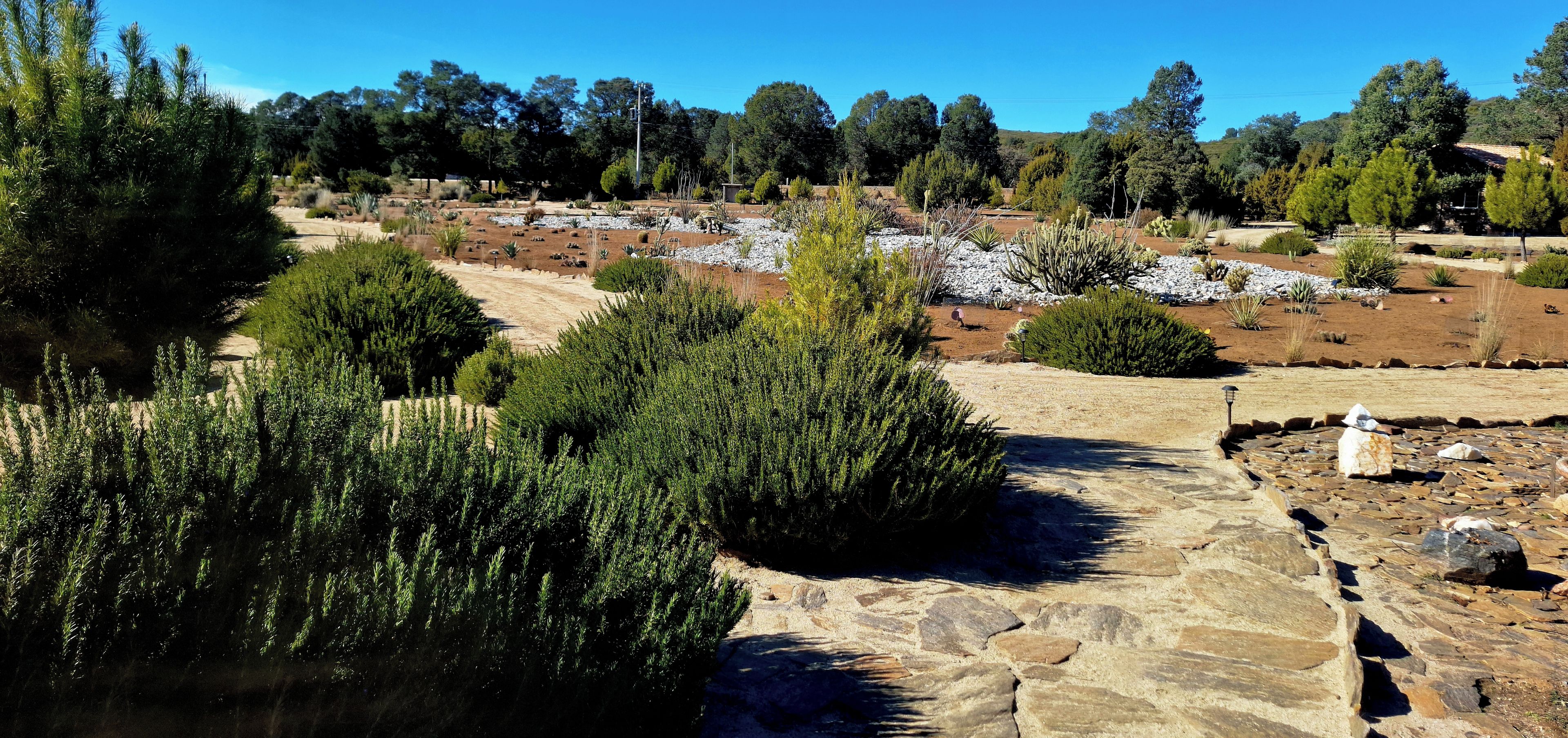 Un jardín ajardinado con diversas plantas y árboles, un sendero de piedra y un cielo azul despejado.