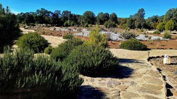 Un jardín ajardinado con diversas plantas y árboles, un sendero de piedra y un cielo azul despejado.