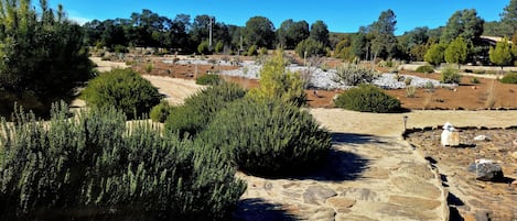 Un jardín ajardinado con diversas plantas y árboles, un sendero de piedra y un cielo azul despejado.