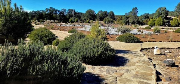 A landscaped garden with various plants and trees, a stone pathway, and a clear blue sky. - Cabañas Bosques del Cóndor 2-NIGHT PROMO (La Rumorosa)