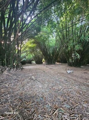 Property grounds - RefleXion Views (Belle Garden)