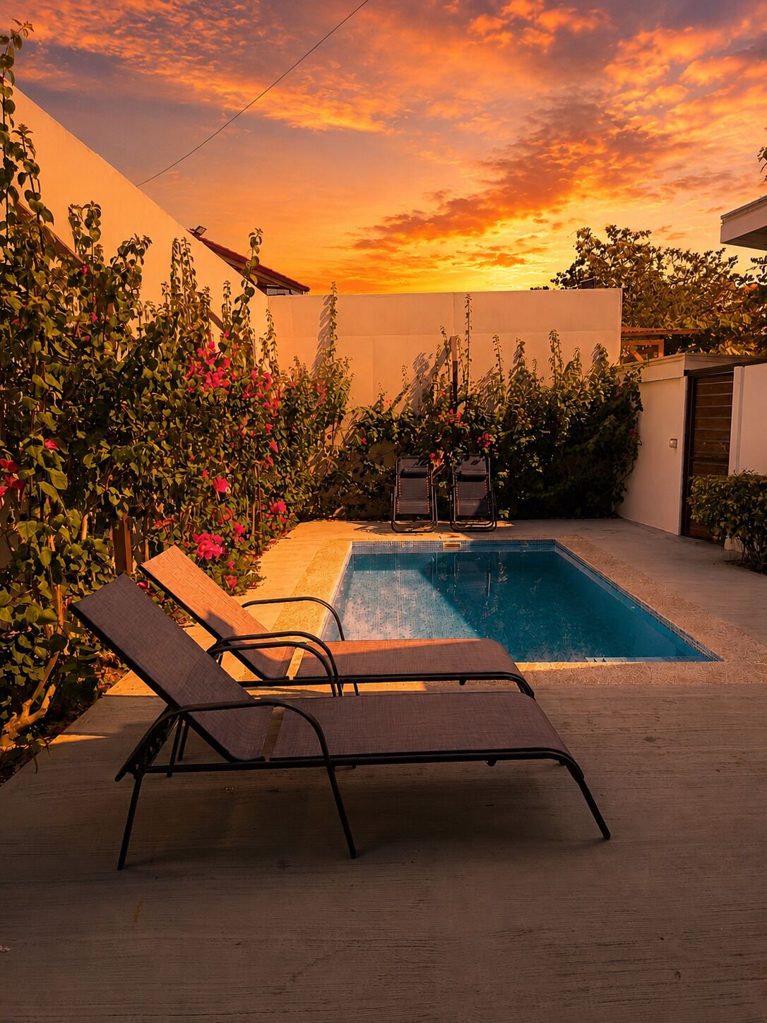 Outdoor pool, sun loungers