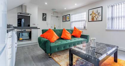 Birmingham Apt-sleeps 4-walk to City Centre-pets