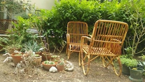 A garden with two wicker chairs, various potted plants, and a wooden fence.
