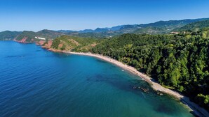 Un paysage côtier avec une plage de sable, une forêt dense et une mer bleue et limpide.