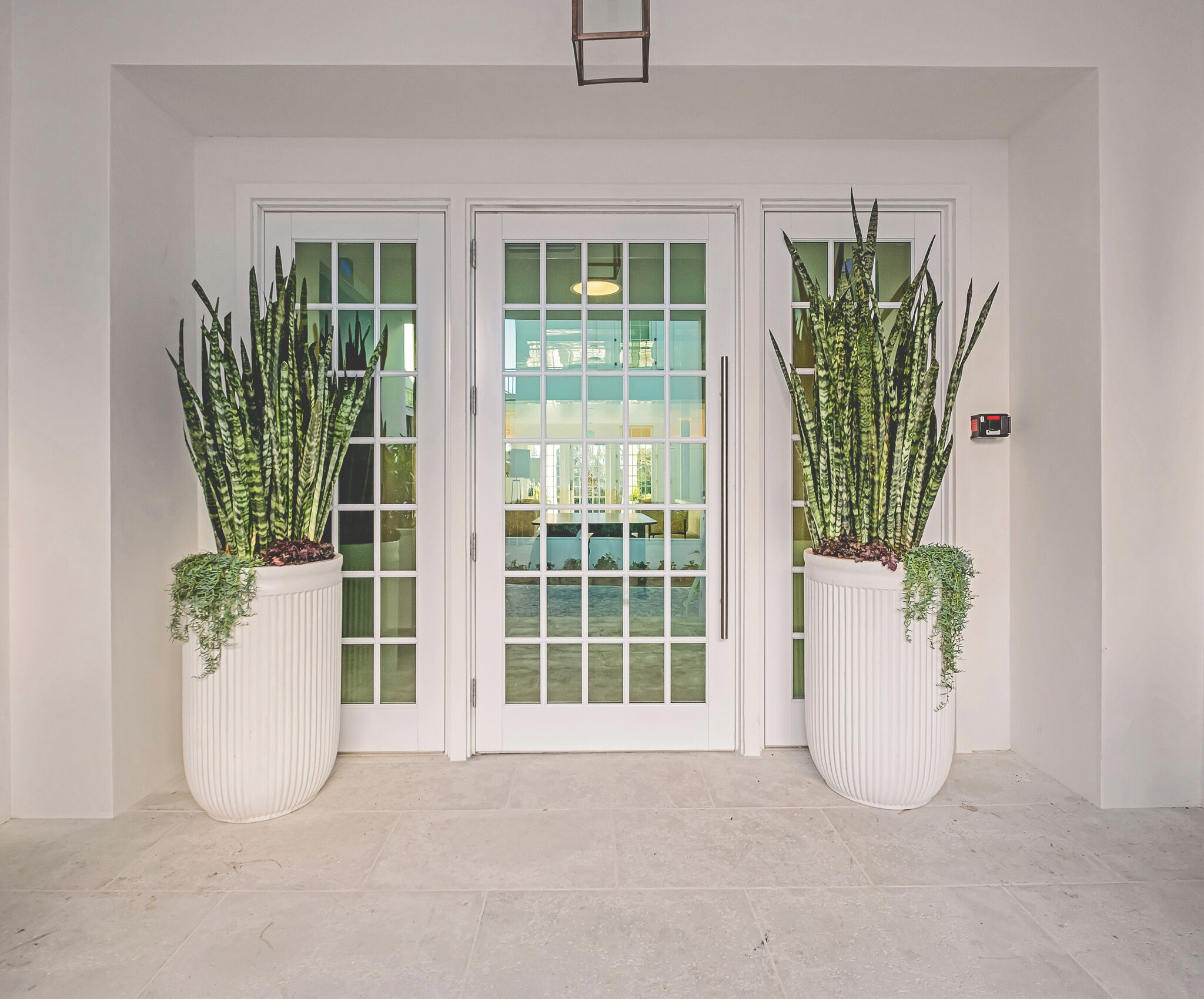 A clean, modern entrance with two large potted plants, a glass door, and a tiled floor.