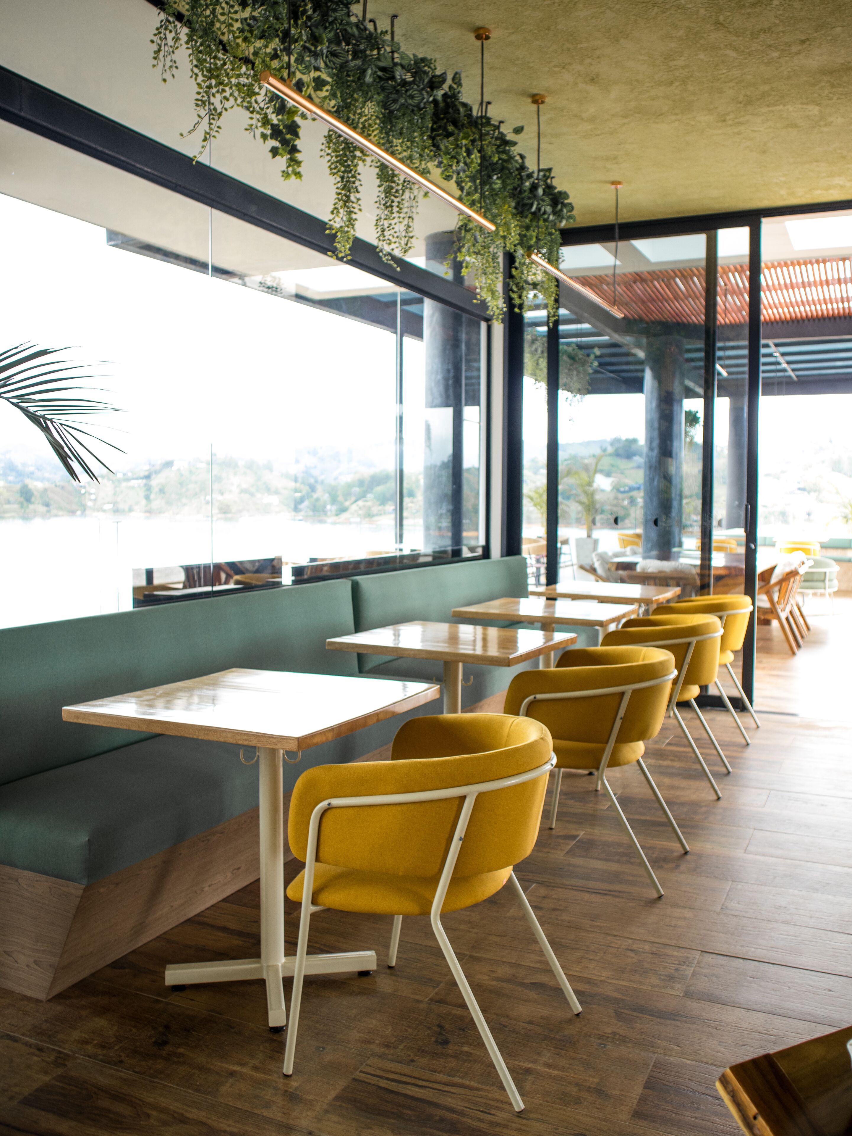 Interior moderno de restaurante con mesas de madera y sillas amarillas, ventanas amplias y plantas colgantes.