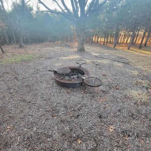 The Enchanted Forrest cottage