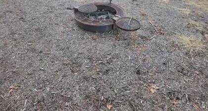 The Enchanted Forrest cottage